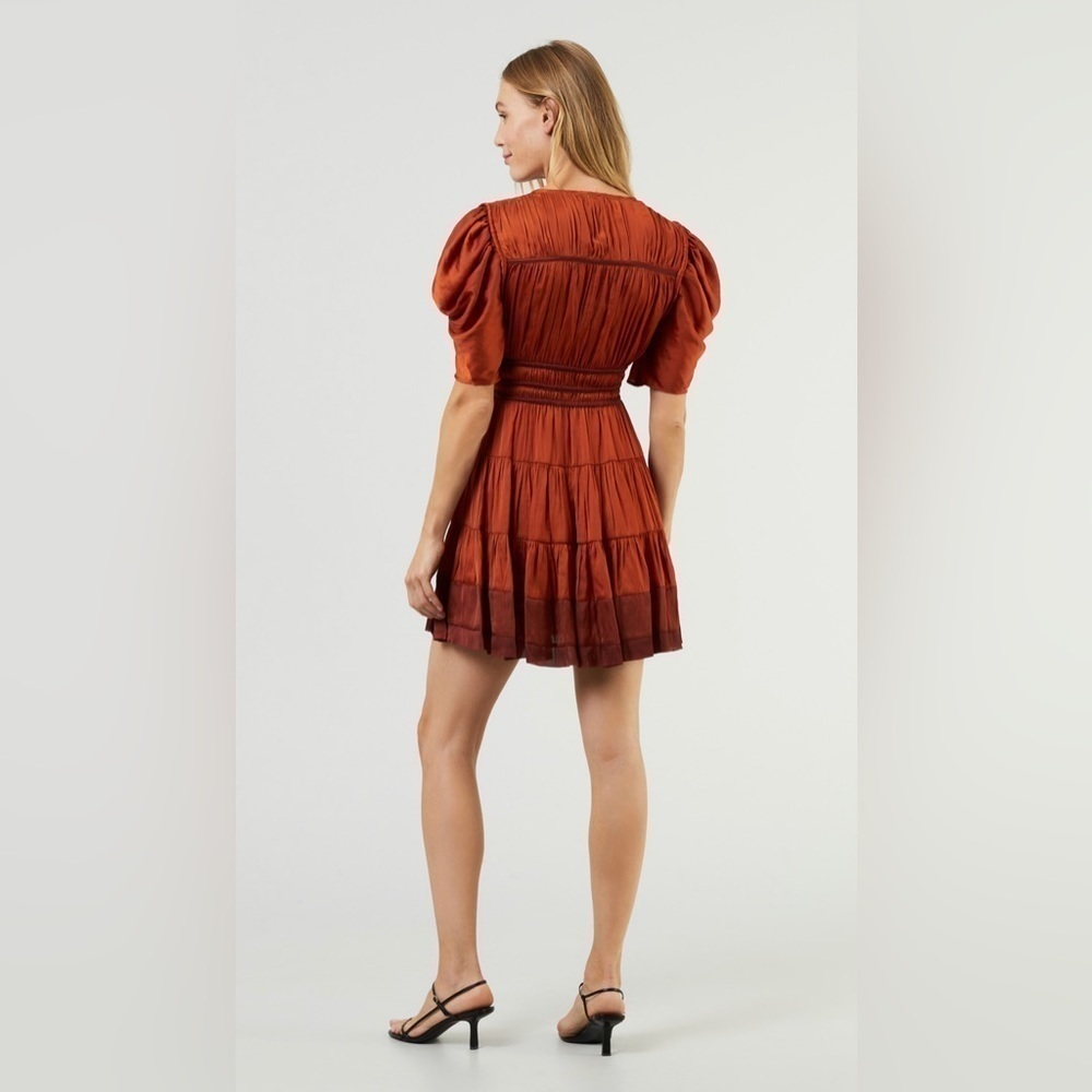 ULLA JOHNSON Azaria Dress in Agate 2 - Picture 5 of 13
